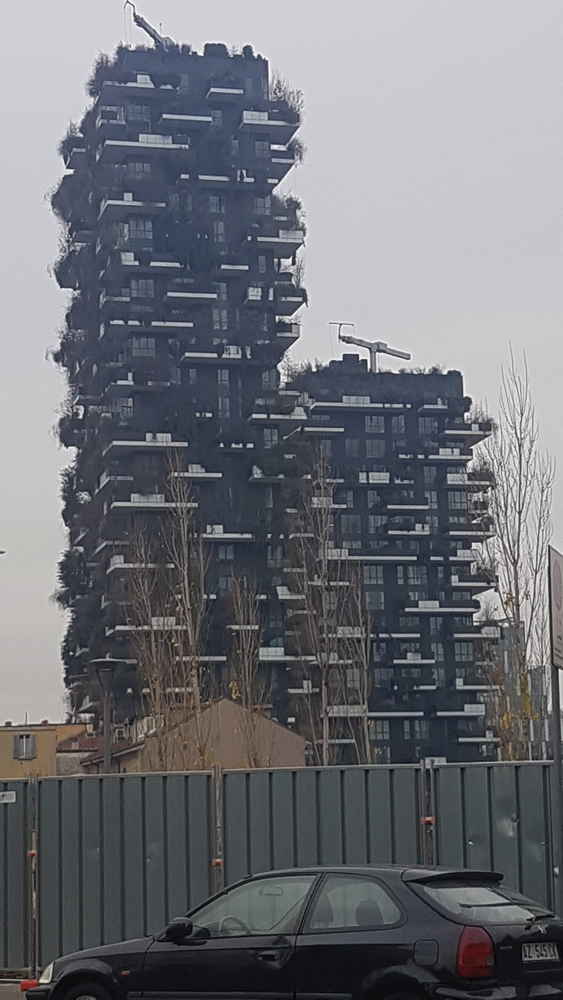 Il bosco verticale